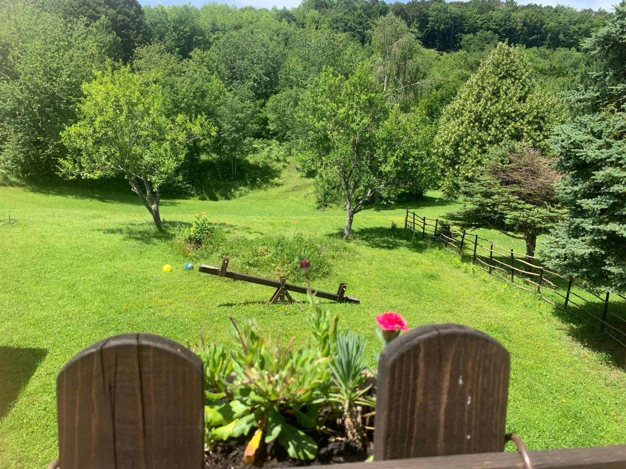 Wildernest Holiday Home Rakovica Zewnętrze zdjęcie